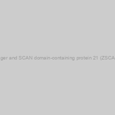 Image of Human Zinc finger and SCAN domain-containing protein 21 (ZSCAN21) ELISA Kit